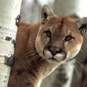 Meet your Posher, Days